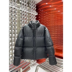 Louis Vuitton Down Jackets